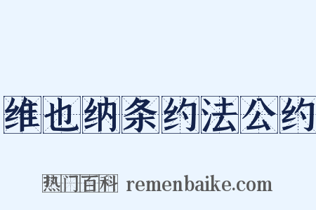 维也纳条约法公约是什么意思的图片
